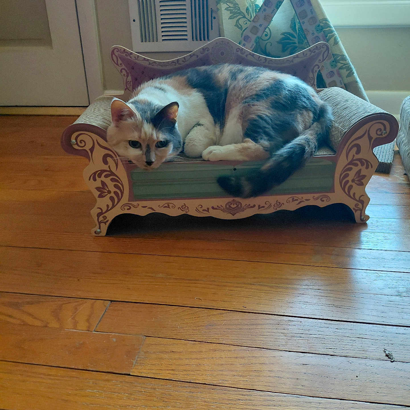 Missy