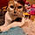 Missy
