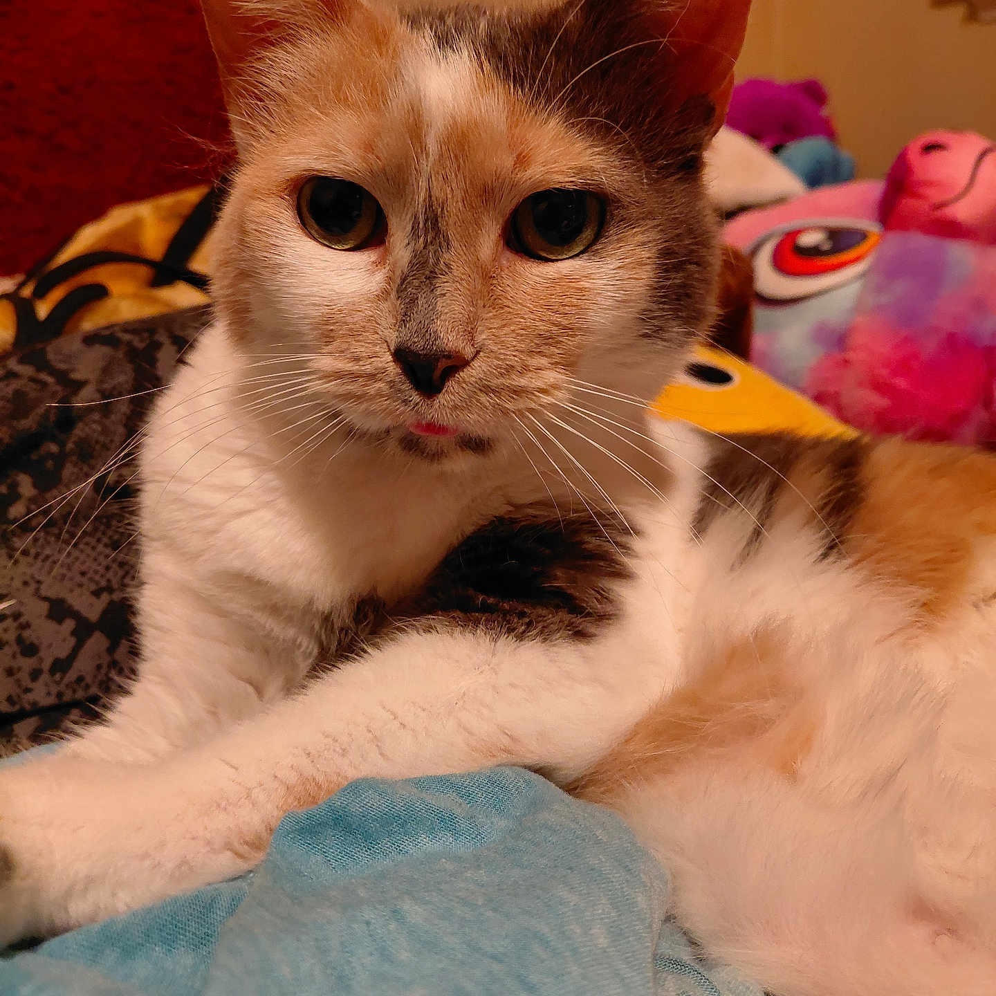 Missy