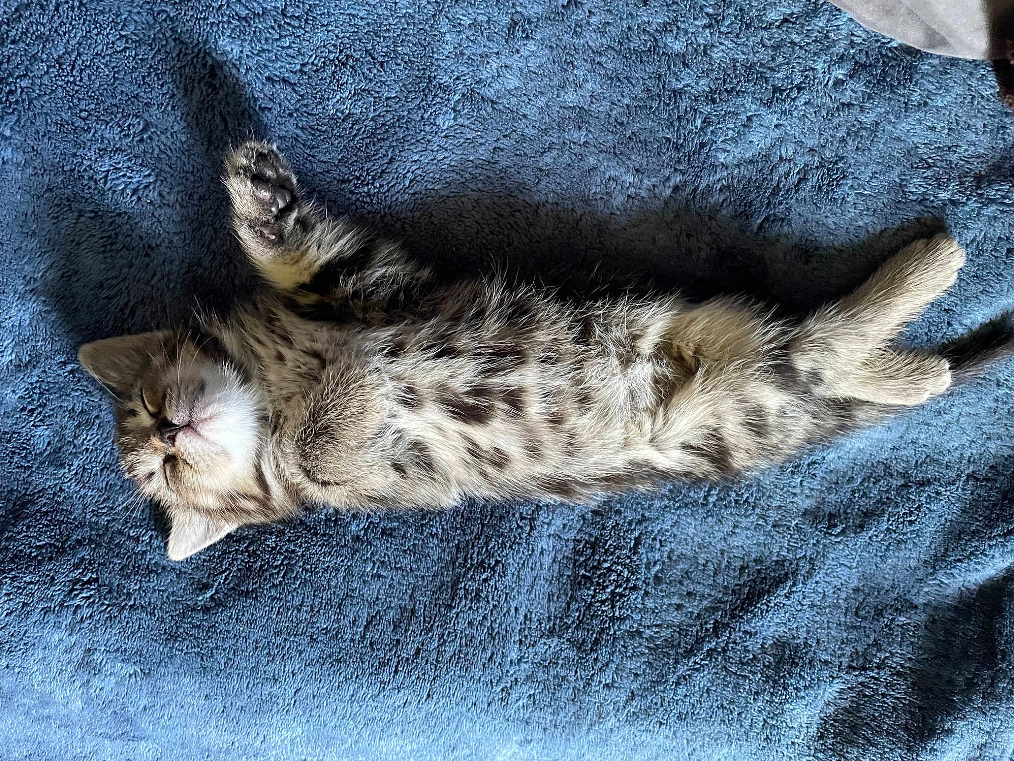 Tyson