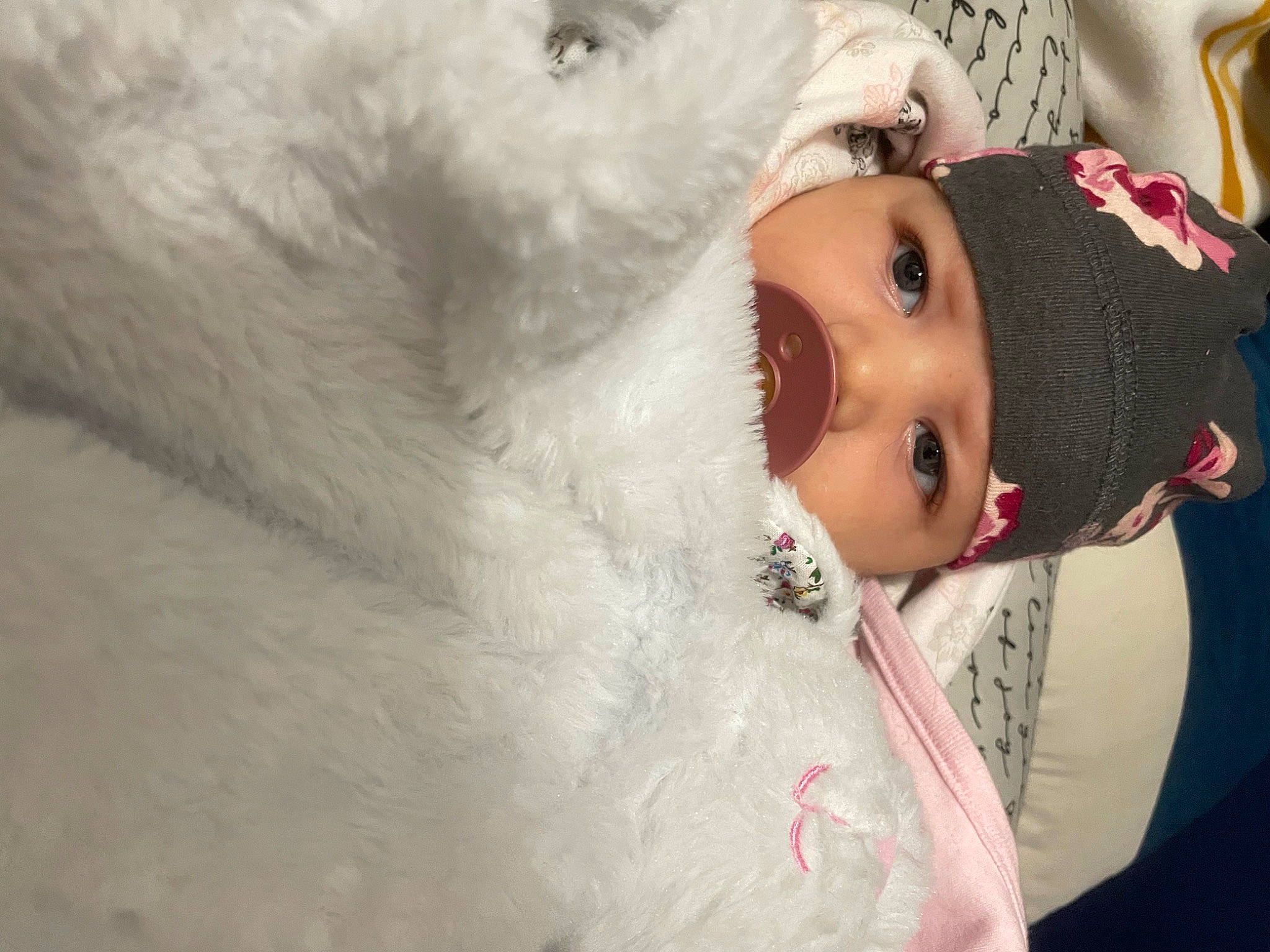 Luxa is registered to the contest to win money with this photo: baby, bear, cap, child, event, eye, eyelash, fur, fur_clothing, happy, headwear, linens, person, polar_bear, portrait_photography, smile, stuffed_toy, teddy_bear, toddler, toy
