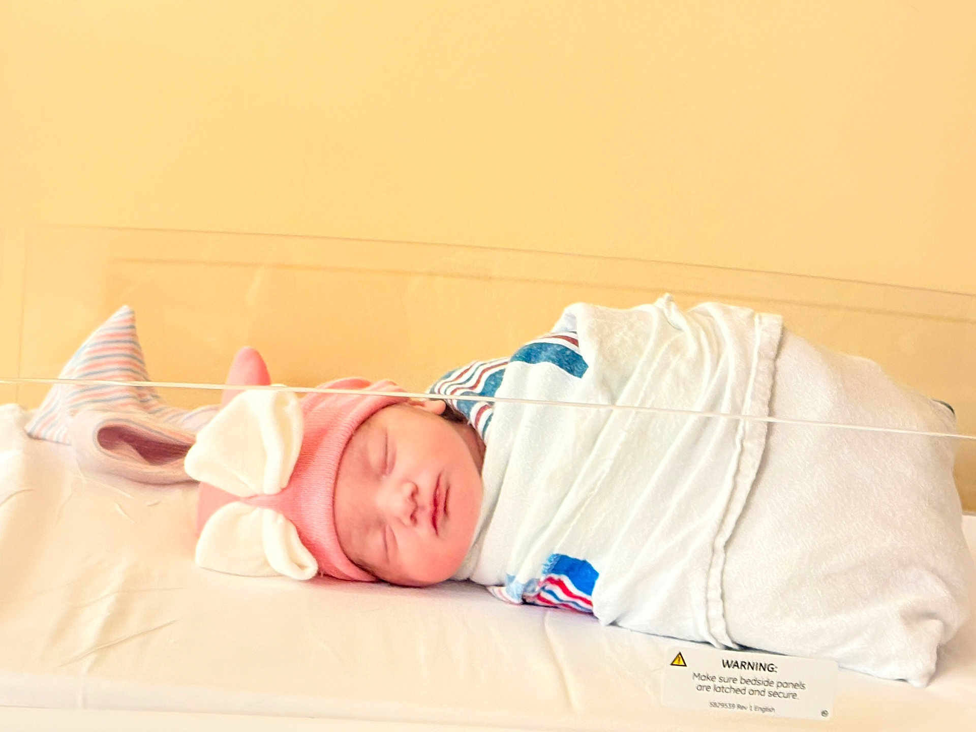 Thalia joined the competition — help win amazing prizes! newborn, baby, sleeping, hospital, blanket, pink_hat, bunny_ears, bassinet, infant, wrapped, cute, peaceful, child, face, headwear, indoors, soft_light, resting, person, healthcare