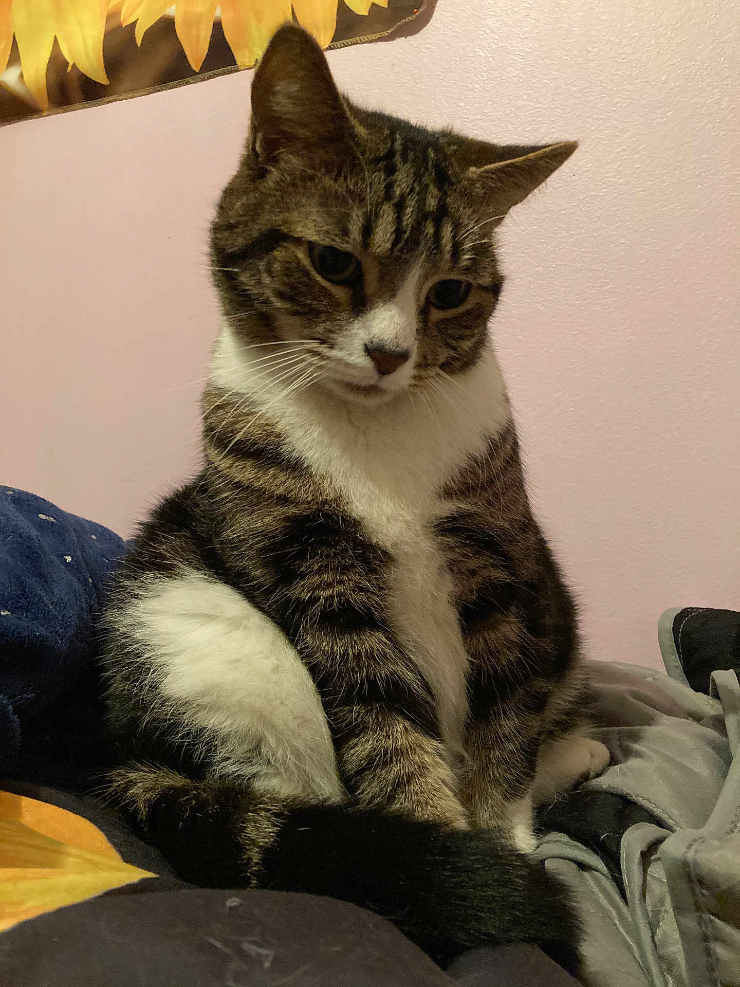 Sam