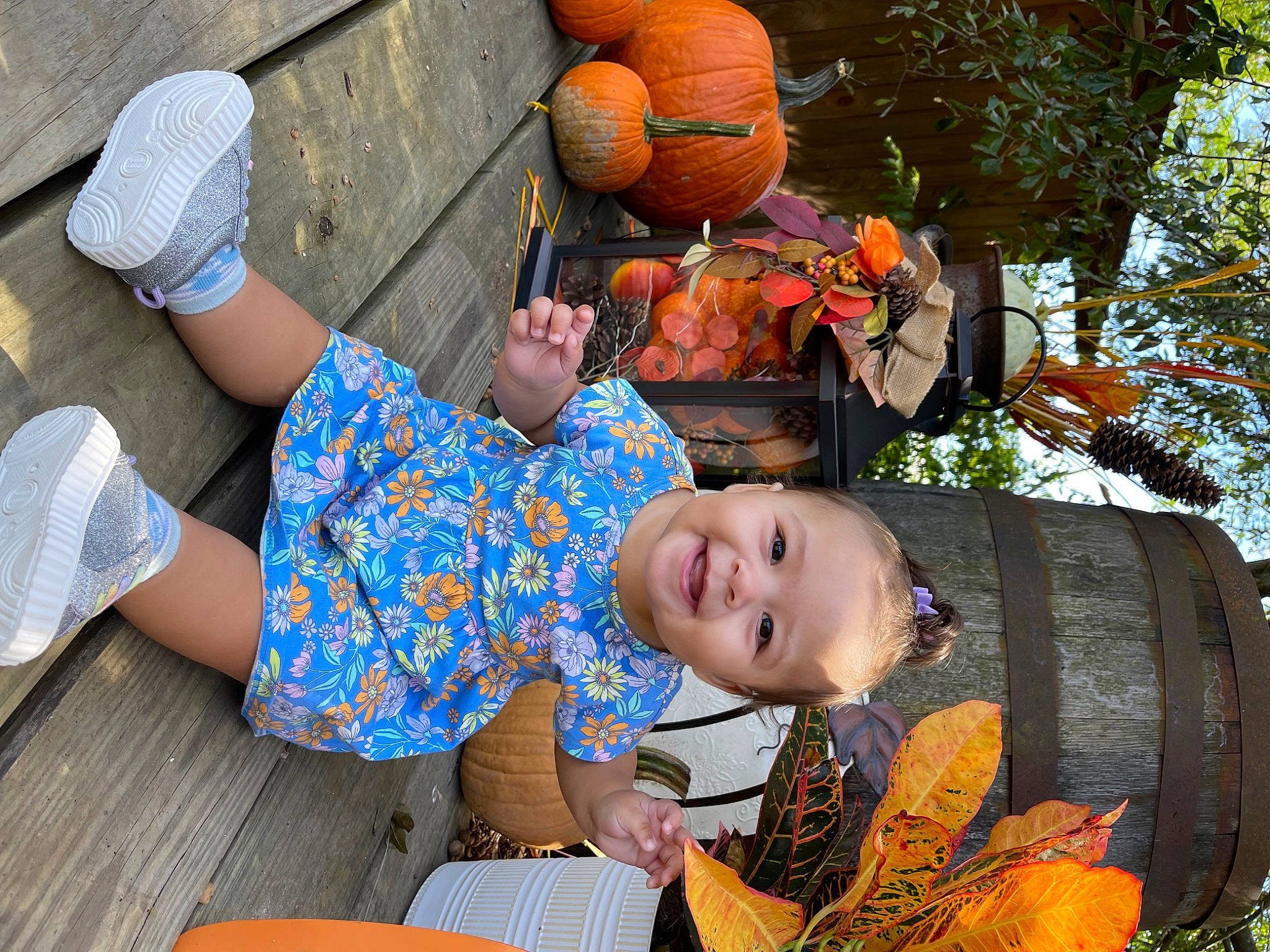 Gracelynn joined the competition — help win amazing prizes! calabaza, cucurbita, event, fun, gourd, grass, happy, joy, leisure, orange, person, plant, pumpkin, sandal, shorts, sitting, smile, squash, toddler, tree