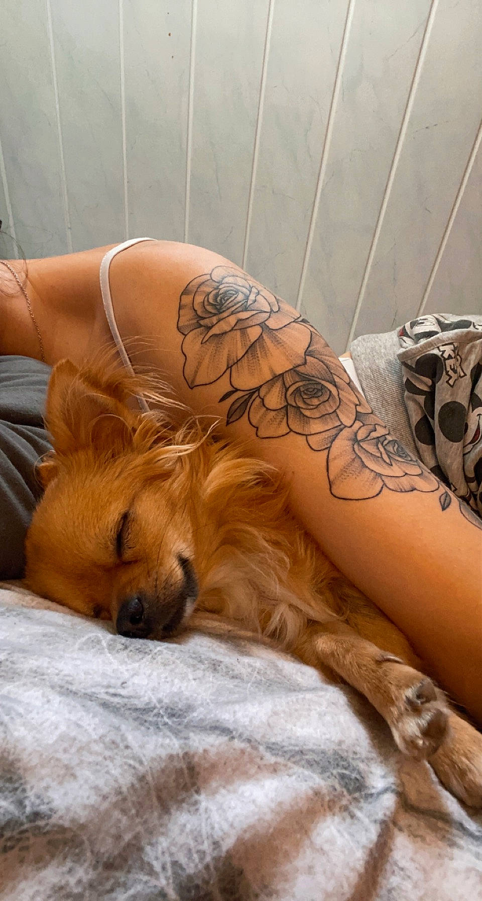Papayou a rejoint le concours — aidez-le/la à gagner de superbes lots ! abdomen, art, barechested, calf, chest, comfort, companion_dog, fawn, flesh, flooring, foot, fur, human_leg, nap, pattern, tattoo, temporary_tattoo, thigh, whiskers, wrist