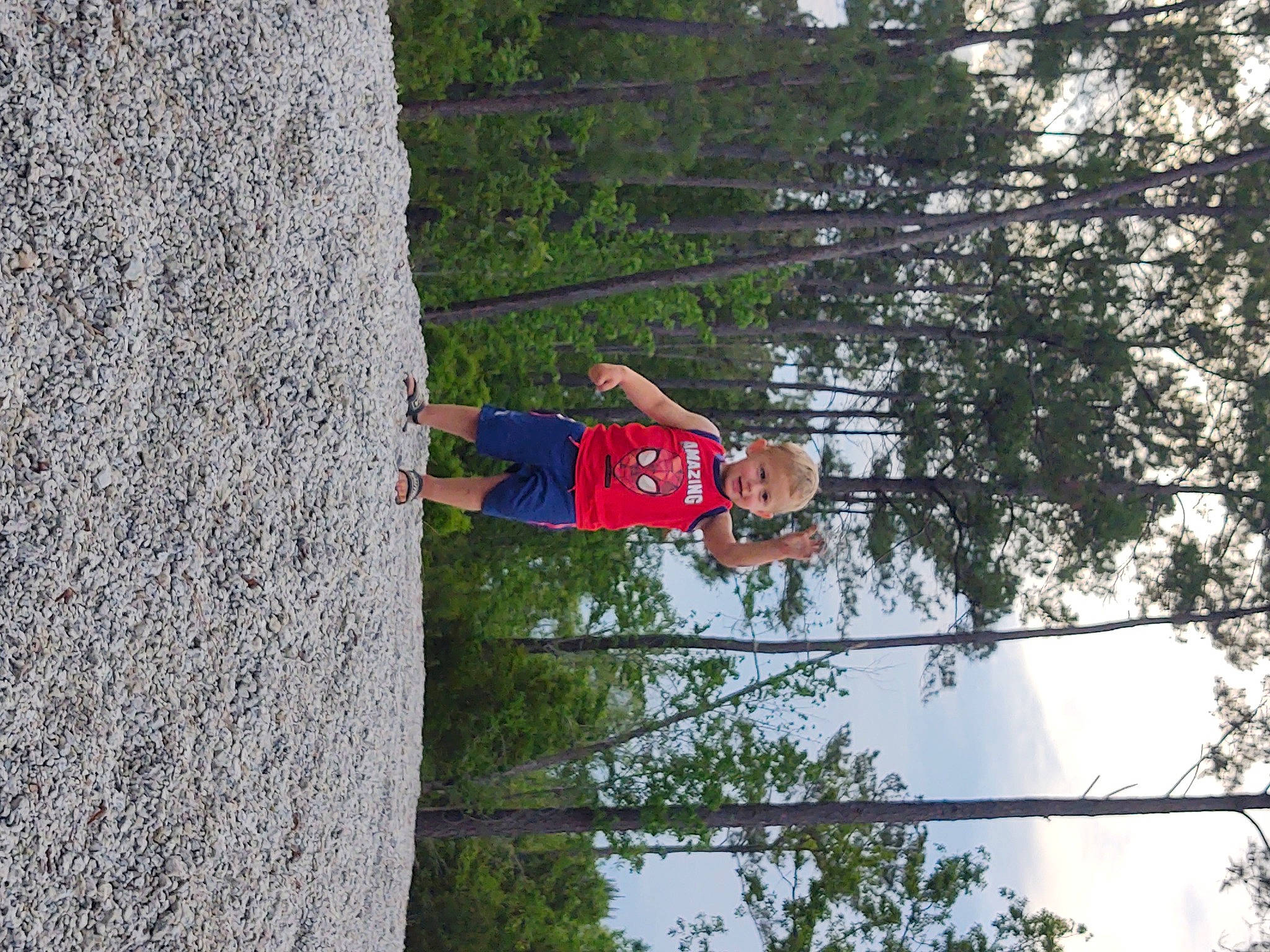 Miles is registered to the contest to win money with this photo: adventure, electrical_supply, forest, fun, grass, leisure, people_in_nature, person, plant, pole, recreation, rope, sky, slope, sport_climbing, t_shirt, tree, trunk, twig, wood