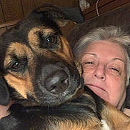 Jazz joined the competition — help win amazing prizes! dog, person, face, close_up, indoor, snuggling, pet, companion, brown, black, fur, portrait, couch, relaxing, wood_paneling, happy, affectionate, animal, canine, adult