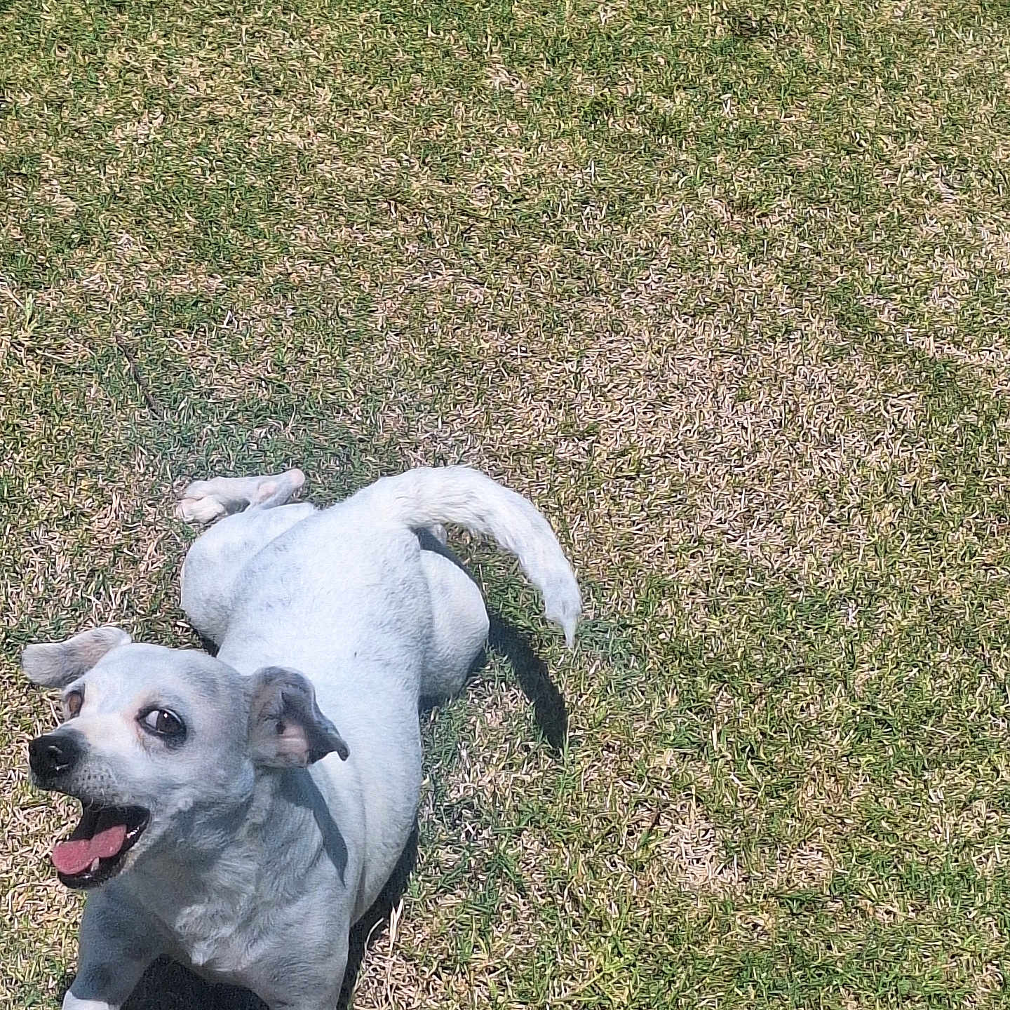 Lil Ms. Jackie