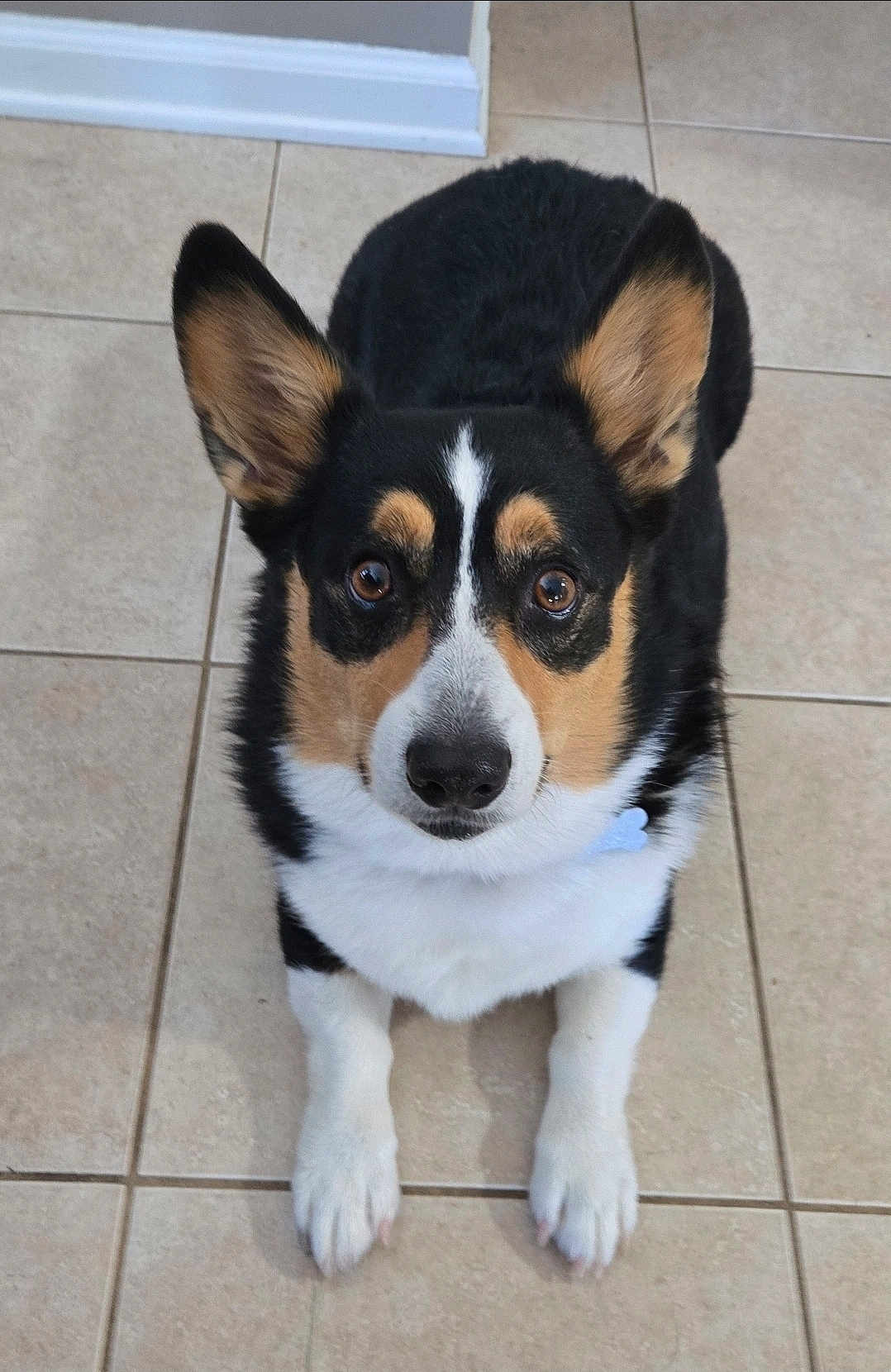 Rocky