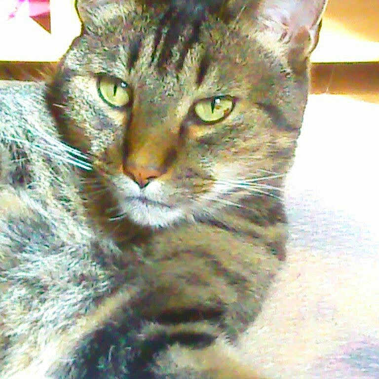 Oliver