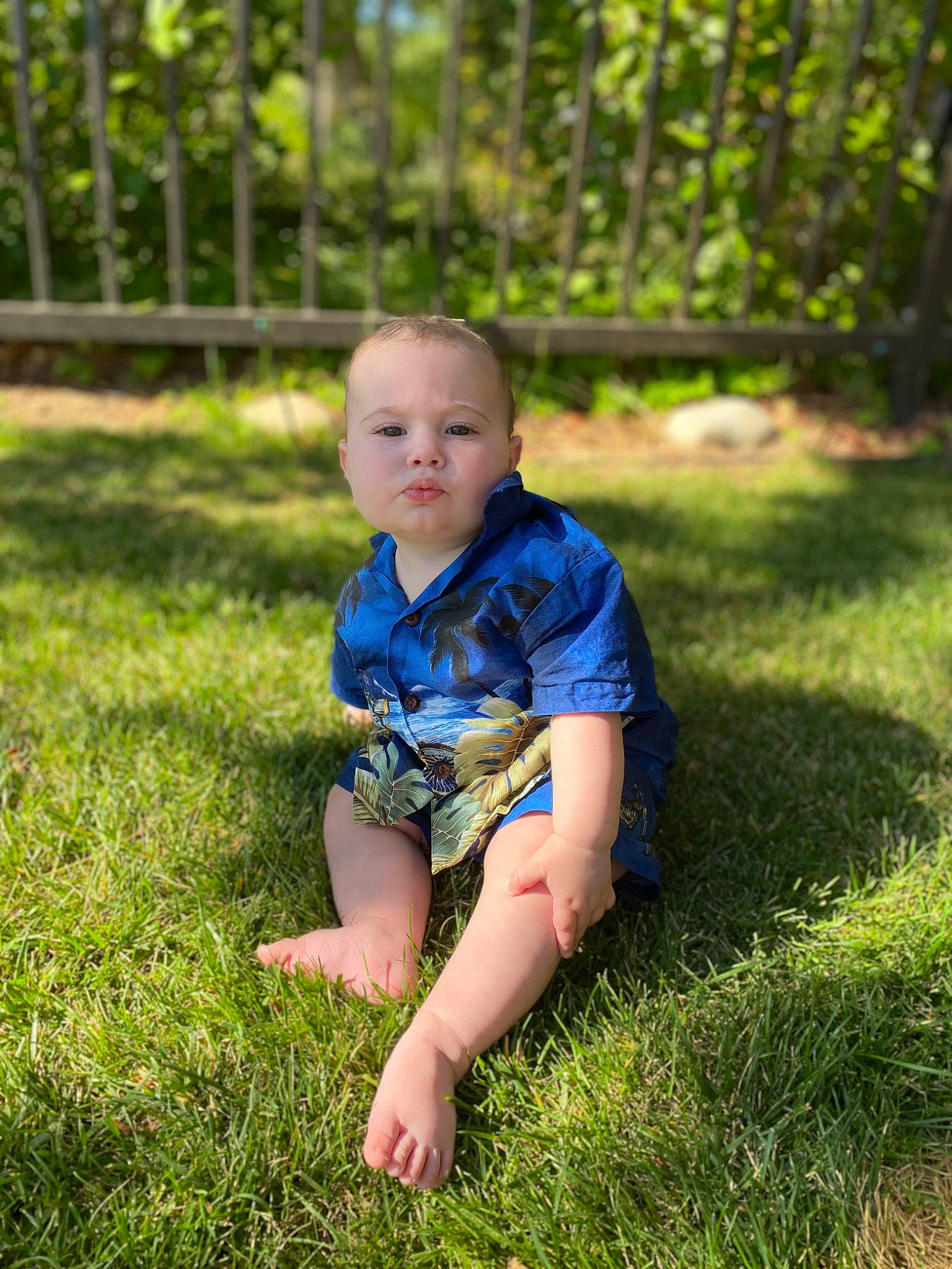Clinton joined the competition — help win amazing prizes! baby, baby_toddler_clothing, barefoot, child, electric_blue, flash_photography, fun, grass, grassland, happy, lawn, leisure, meadow, people_in_nature, person, plant, sitting, summer, t_shirt, toddler