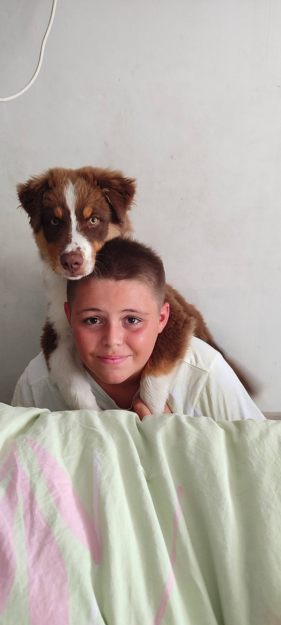 Taïko a rejoint le concours — aidez-le/la à gagner de superbes lots ! carnivore, comfort, companion_dog, dog, dog_breed, fur, gesture, happy, liver, sleeve, smile, working_animal