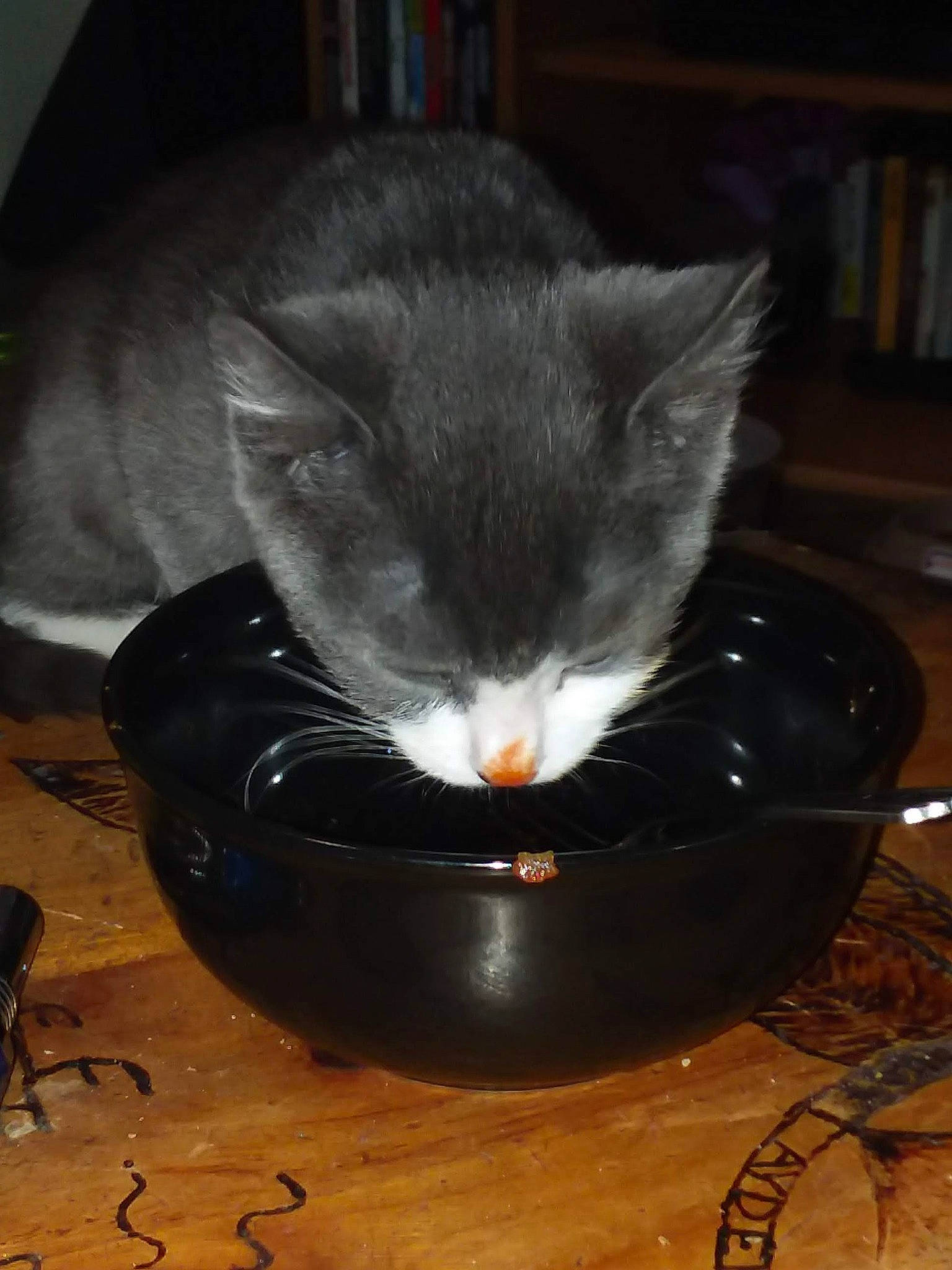 Berlioz is registered to the contest to win money with this photo: animal_feed, black_cat, bookcase, bowl, carnivore, cat, cat_supply, domestic_short_haired_cat, drinkware, felidae, fur, ingredient, liquid, pet_supply, serveware, shelf, small_to_medium_sized_cats, snout, tail, whiskers