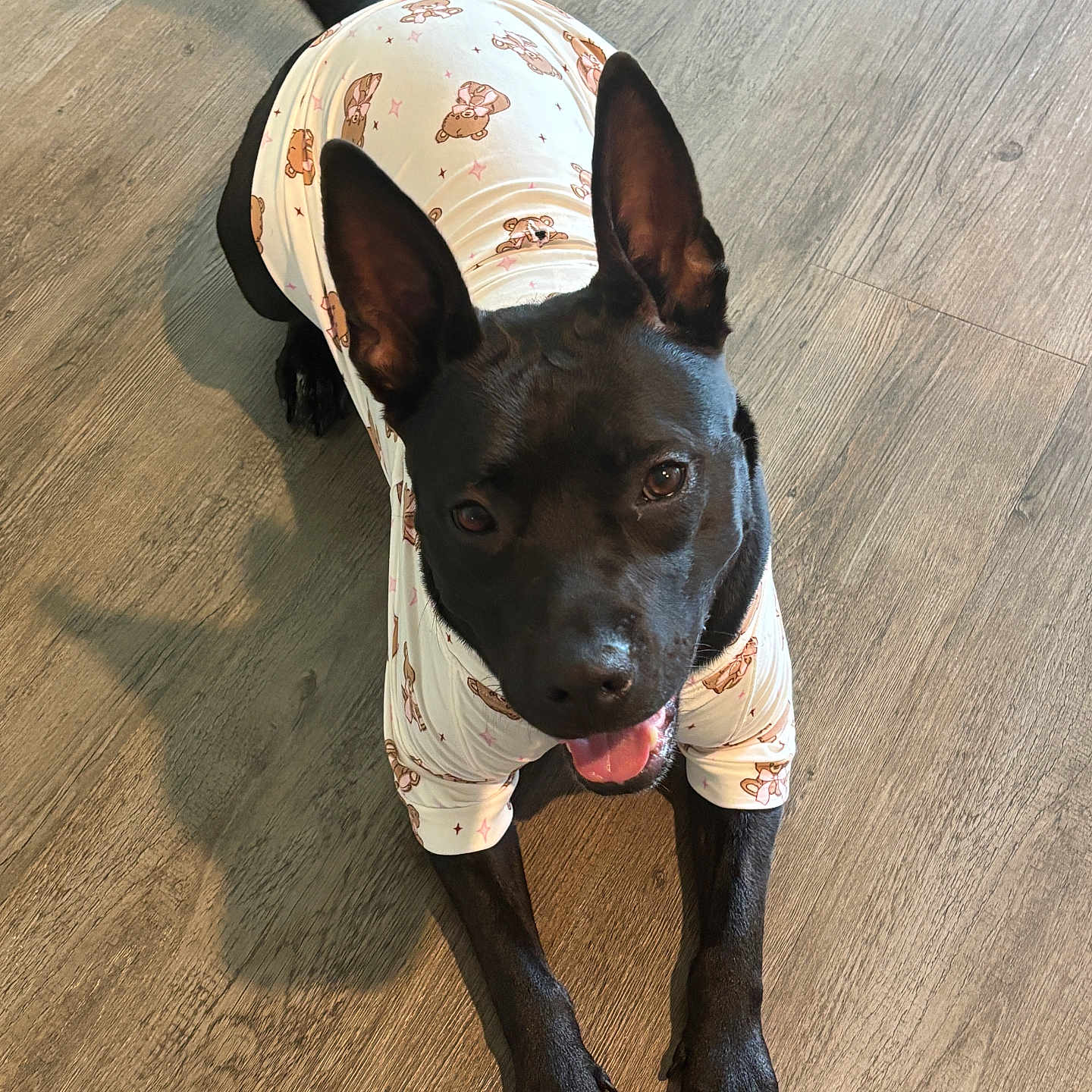 Chloe