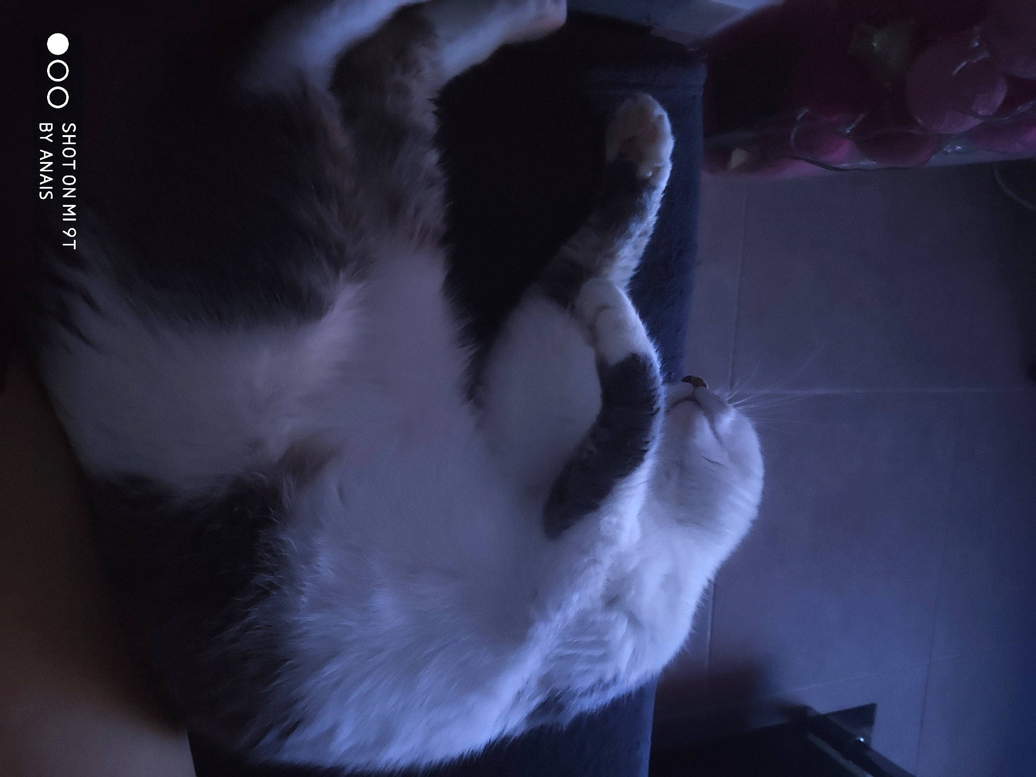 Tigrou participe au concours pour gagner de l'argent avec cette photo : black, black_and_white, darkness, ear, gesture, hand, human, jaw, lip, mouth, neck, nose, photography