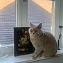 cat, gray_cat, windowsill, window, flower_painting, vintage_art, amber_eyes, natural_light, indoor, decor, metal_flower, pet, feline, animal, house, roof_tiles, curious, sitting, portrait, cozy