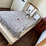 bed, blanket, cardboard_box, cat, drawer, floor, furniture, gray_cat, home, household, indoor, pet, red_object, room, sleeping_area, table, wardrobe, white_wardrobe, wood, wooden_floor