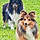Spyke Et Anouk