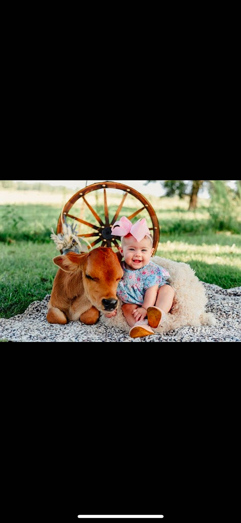 Claire joined the competition — help win amazing prizes! canidae, carnivore, companion_dog, dog, dog_breed, fashion_accessory, fawn, grass, happy, headwear, joy, leisure, people_in_nature, person, photo_caption, plant, recreation, sitting, smile, sporting_group