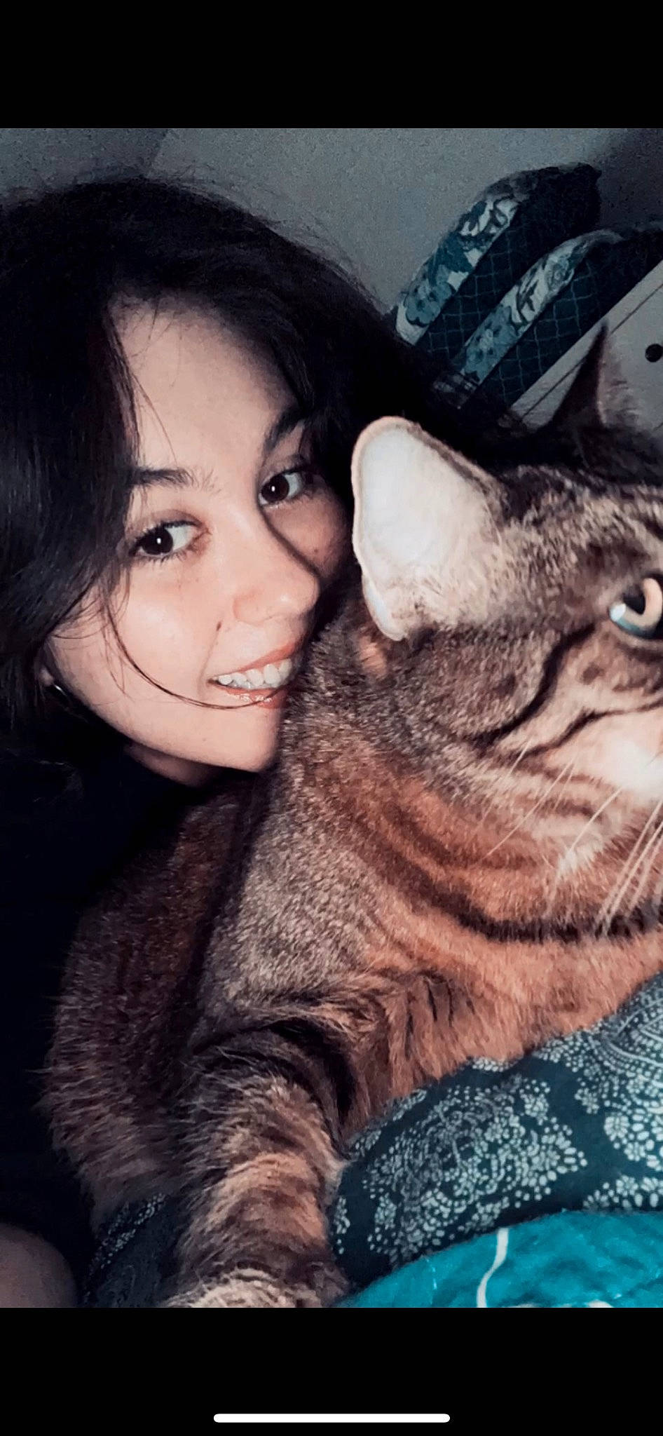 Bella is registered to the contest to win money with this photo: carnivore, cat, cool, domestic_short_haired_cat, eye, felidae, flash_photography, fur, gesture, grass, hair, happy, iris, nose, organ, selfie, sitting, small_to_medium_sized_cats, smile, whiskers