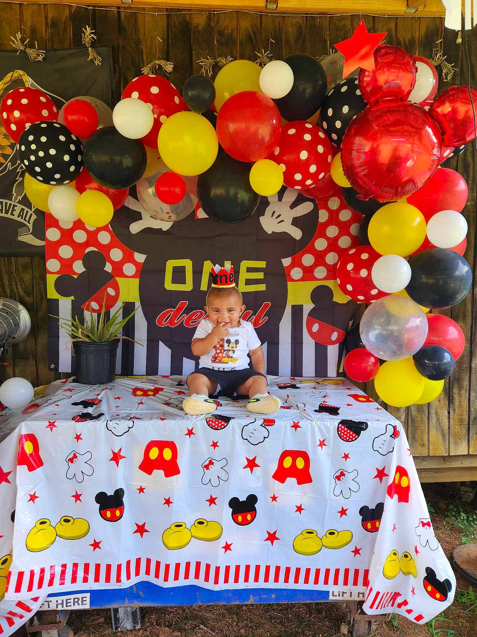 Gregory joined the competition — help win amazing prizes! balloon, birthday, birthday_party, cake_decorating, decoration, entertainment, event, food, fun, joy, leisure, orange, party_supply, person, pink, public_space, recreation, red, sweetness, table