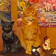 Copper is registered to the contest to win money with this photo: cat, orange_cat, black_cat, animal, pet, sitting, indoors, shelf, decorations, statue, figurine, floral_art, colorful, portrait, feline, whiskers, ears, home_decor, vintage, still_life