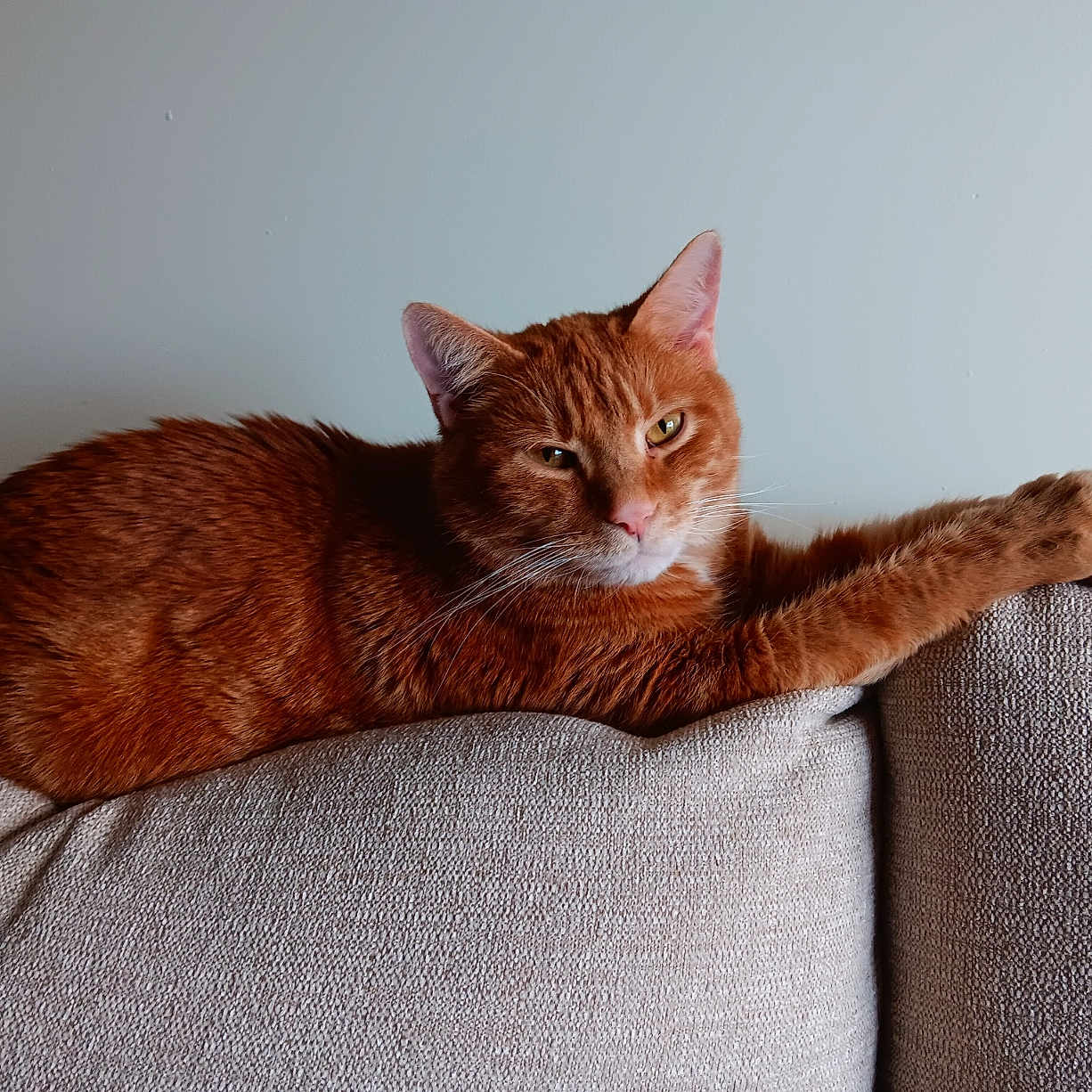 Copper
