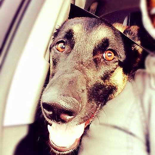 Bella is registered to the contest to win money with this photo: