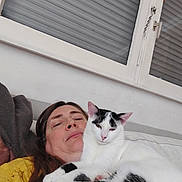 Touffu Et Tigrou participe au concours pour gagner de l'argent avec cette photo : person, cat, indoor, window, shutter, relaxed, resting, yellow_clothing, white_wall, brown_hair, black_and_white_cat, couch, casual, selfie, pet, comfort, close_up, home, animal, face