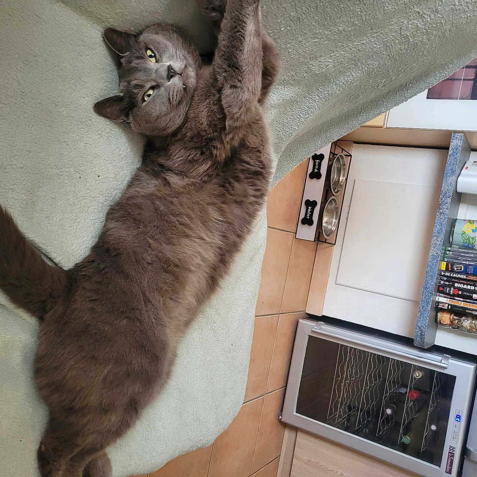 Jango