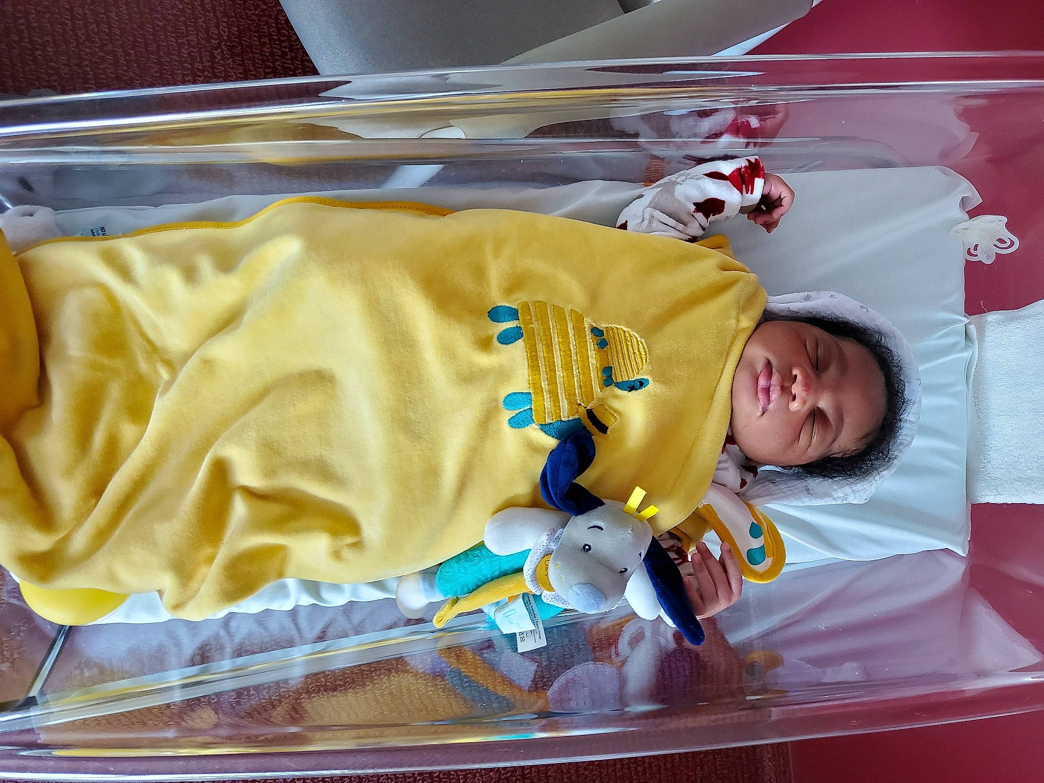 Noah a rejoint le concours — aidez-le/la à gagner de superbes lots ! baby, baby_products, baby_safety, baby_toddler_clothing, child, comfort, event, fun, kitchen_utensil, linens, mammal, person, room, sleeve, t_shirt, toddler