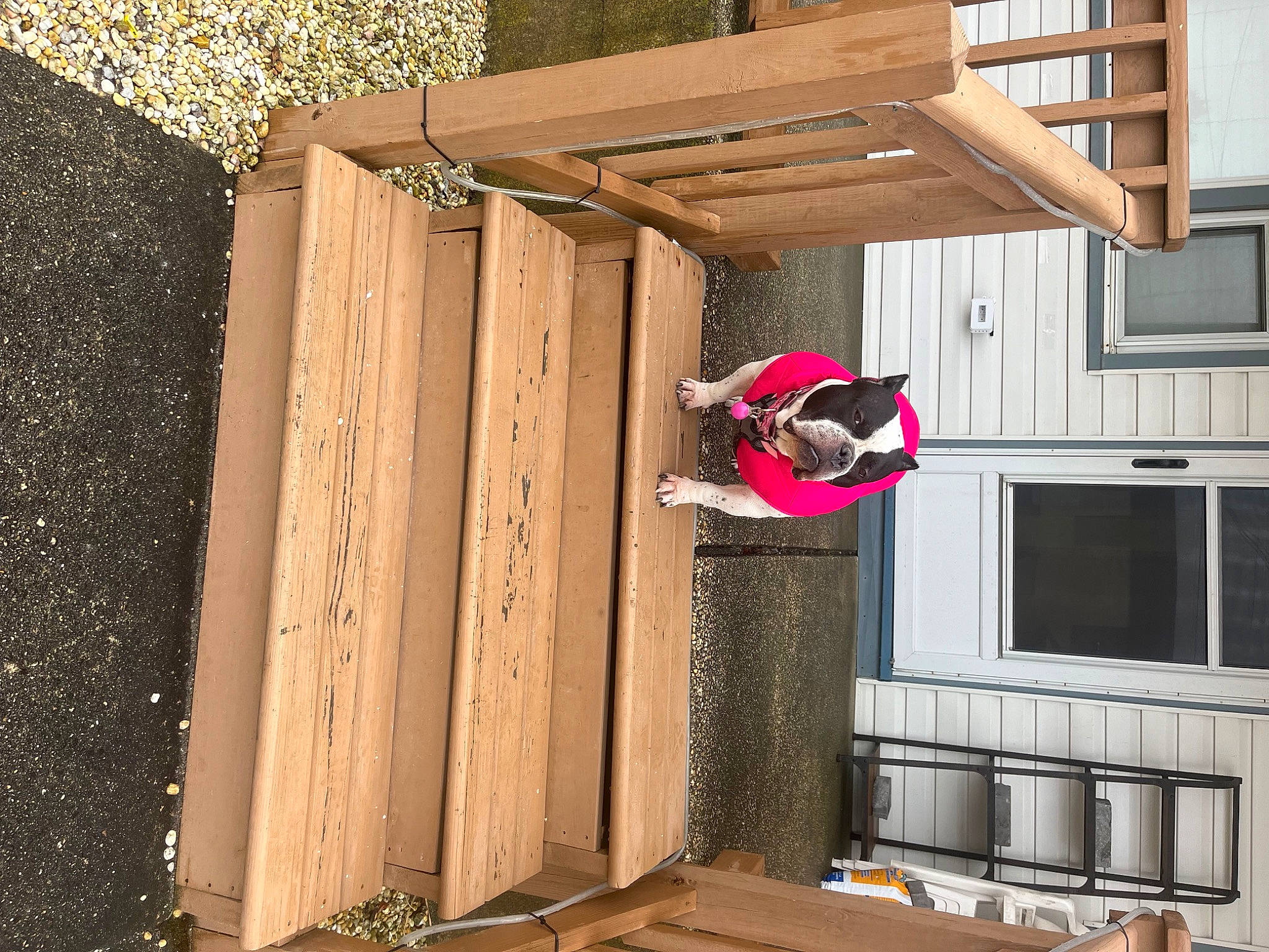 Miss Piggy is registered to the contest to win money with this photo: building, facade, hardwood, home, house, leisure, line, magenta, material_property, plywood, property, recreation, room, sash_window, siding, tints_and_shades, wall, window, wood, wood_stain