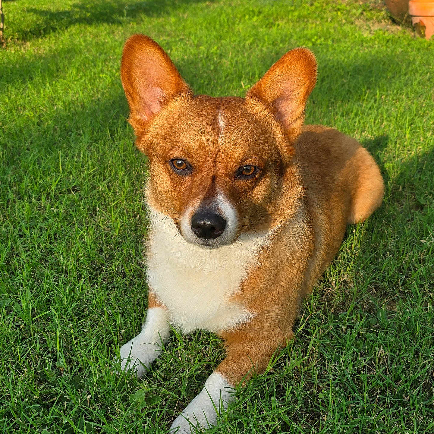 Charlie
