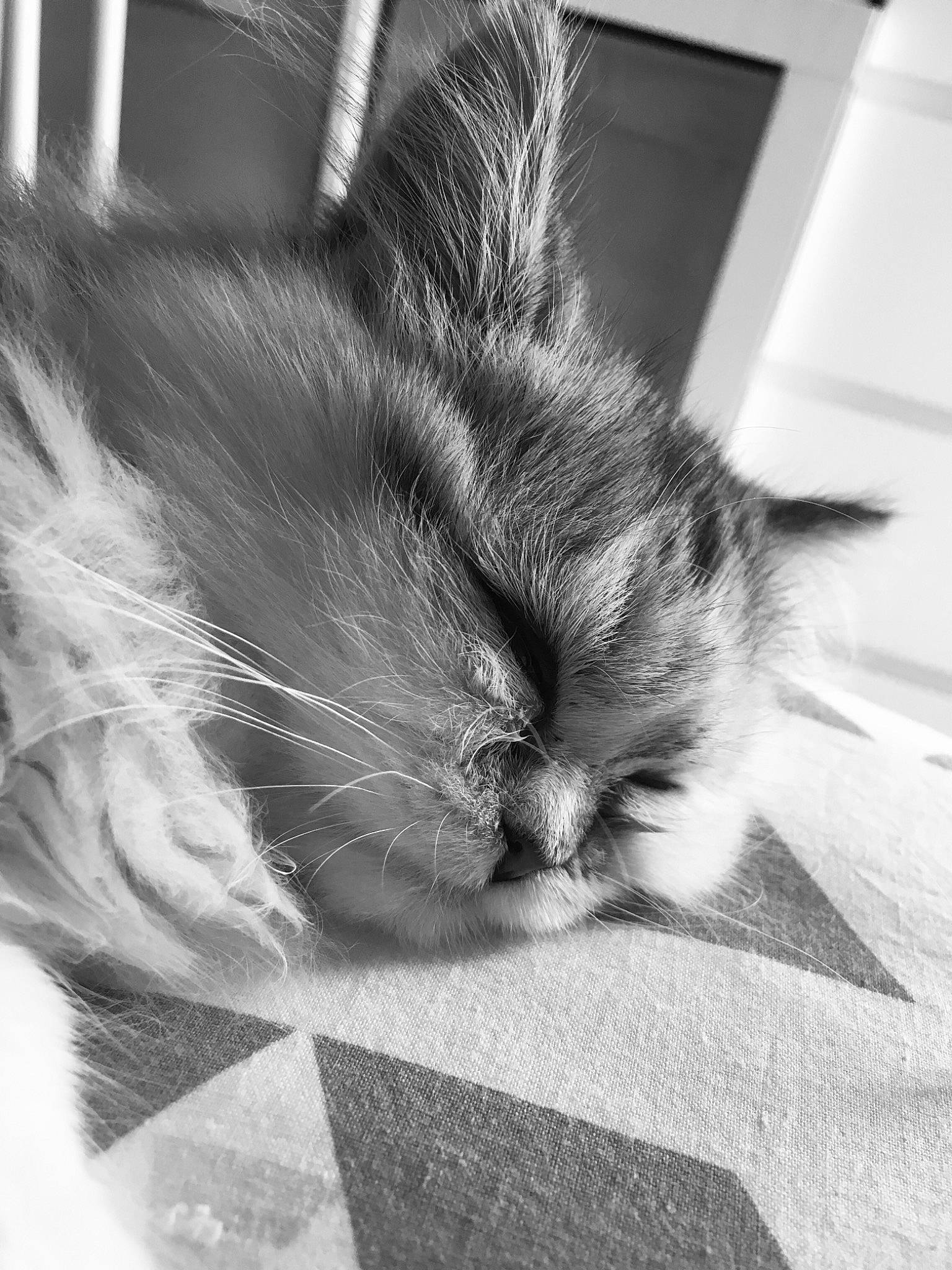 Pin-up a rejoint le concours — aidez-le/la à gagner de superbes lots !