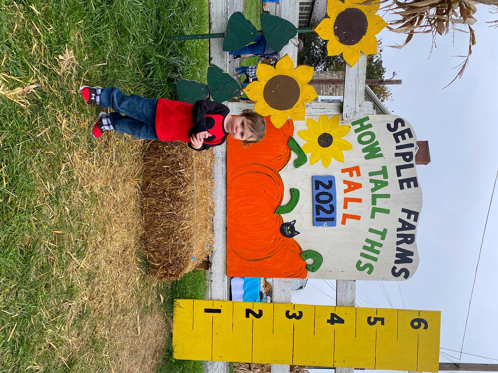 Nolan joined the competition — help win amazing prizes! adaptation, agriculture, billboard, font, grass, green, groundcover, handwriting, landscape, organism, people_in_nature, person, plant, pole, shrub, sign, signage, soil, tree, world