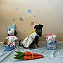 blue_blanket, carrots, costume, cotton_candy, cute, decorations, dog, easter_eggs, festive, floor, floral_dress, holiday, indoor, pet, plush_toy, small_dog, snoopy, spring, toy, wall