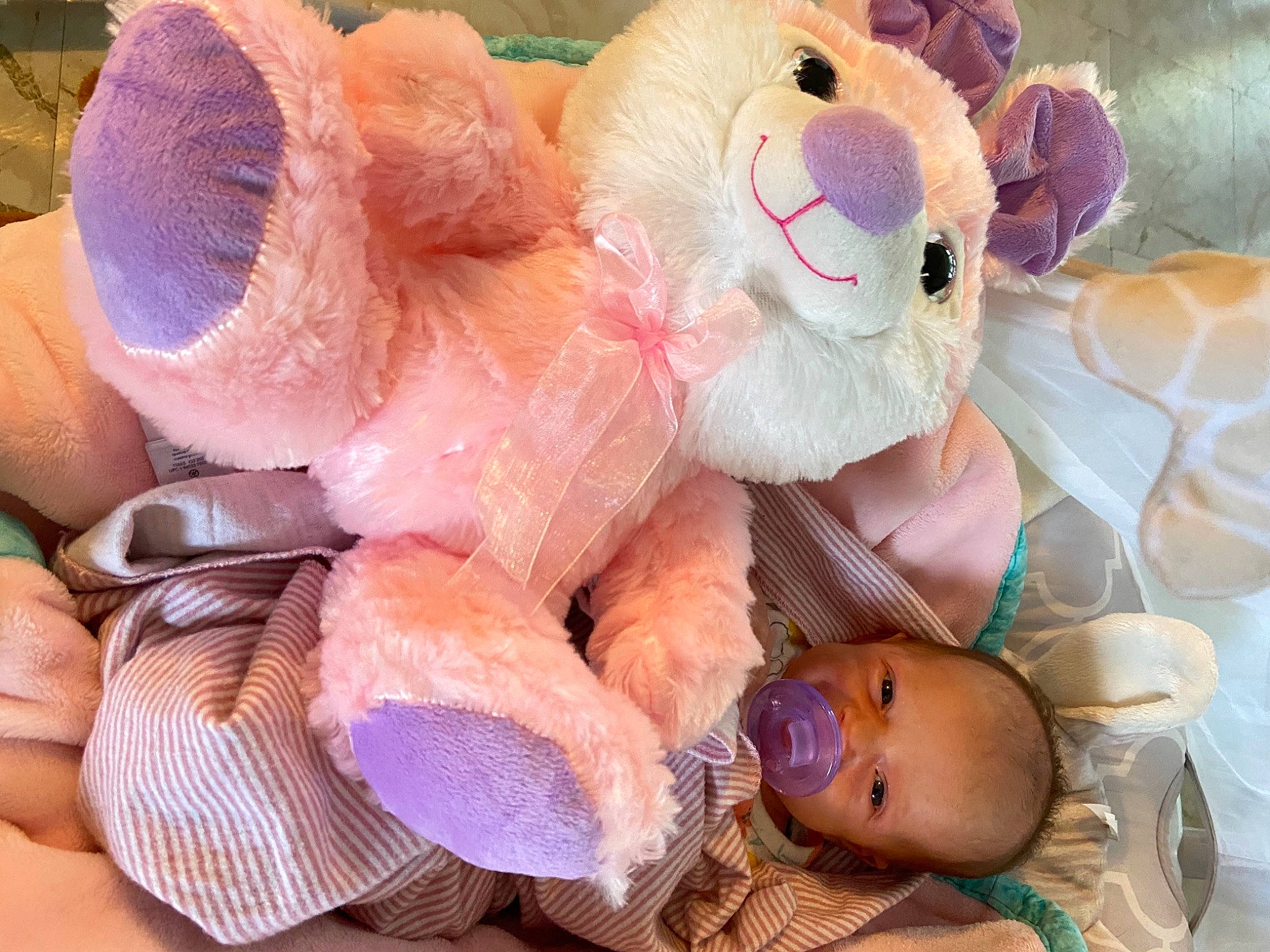 Mazikeen is registered to the contest to win money with this photo: baby, baby_products, baby_toys, comfort, fur, happy, nail, peach, person, pink, plush, stuffed_toy, teddy_bear, textile, thumb, toy