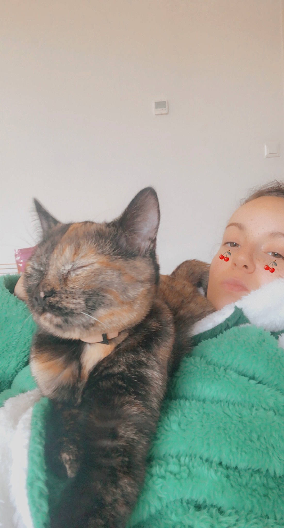 Moona a rejoint le concours — aidez-le/la à gagner de superbes lots ! carnivore, cat, claw, comfort, domestic_short_haired_cat, ear, eye, fawn, felidae, fur, gesture, head, nap, nose, paw, skin, small_to_medium_sized_cats, snout, tail, whiskers