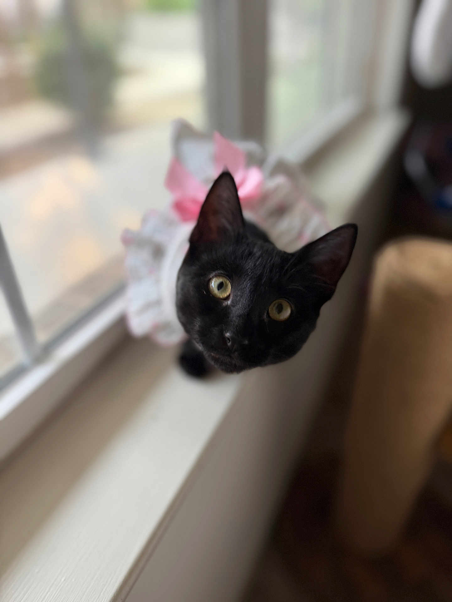 Valentina