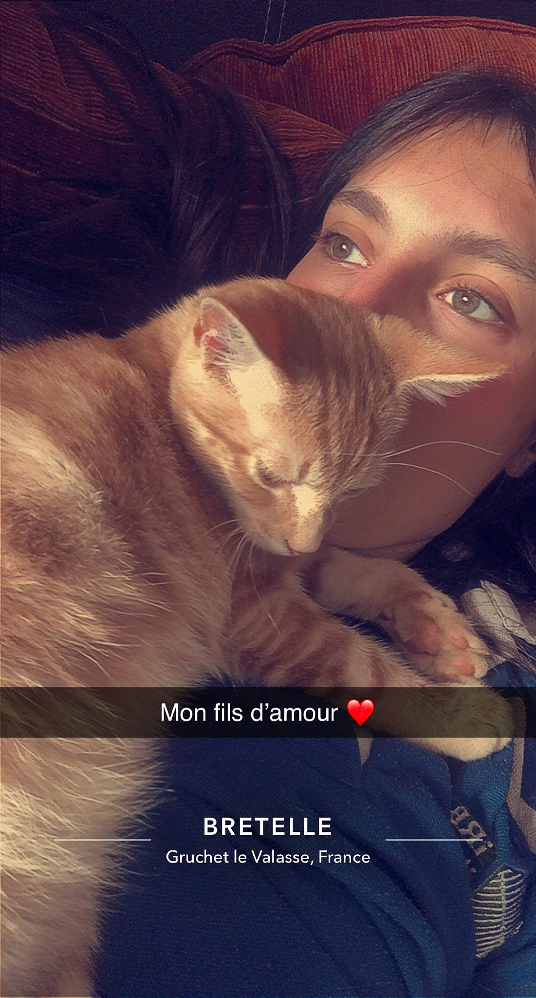 Azraël a rejoint le concours — aidez-le/la à gagner de superbes lots ! beard, carnivore, cat, cloud, cool, darkness, eyelash, facial_hair, fawn, felidae, flash_photography, fur, gesture, hand, happy, iris, love, photo_caption, small_to_medium_sized_cats, whiskers