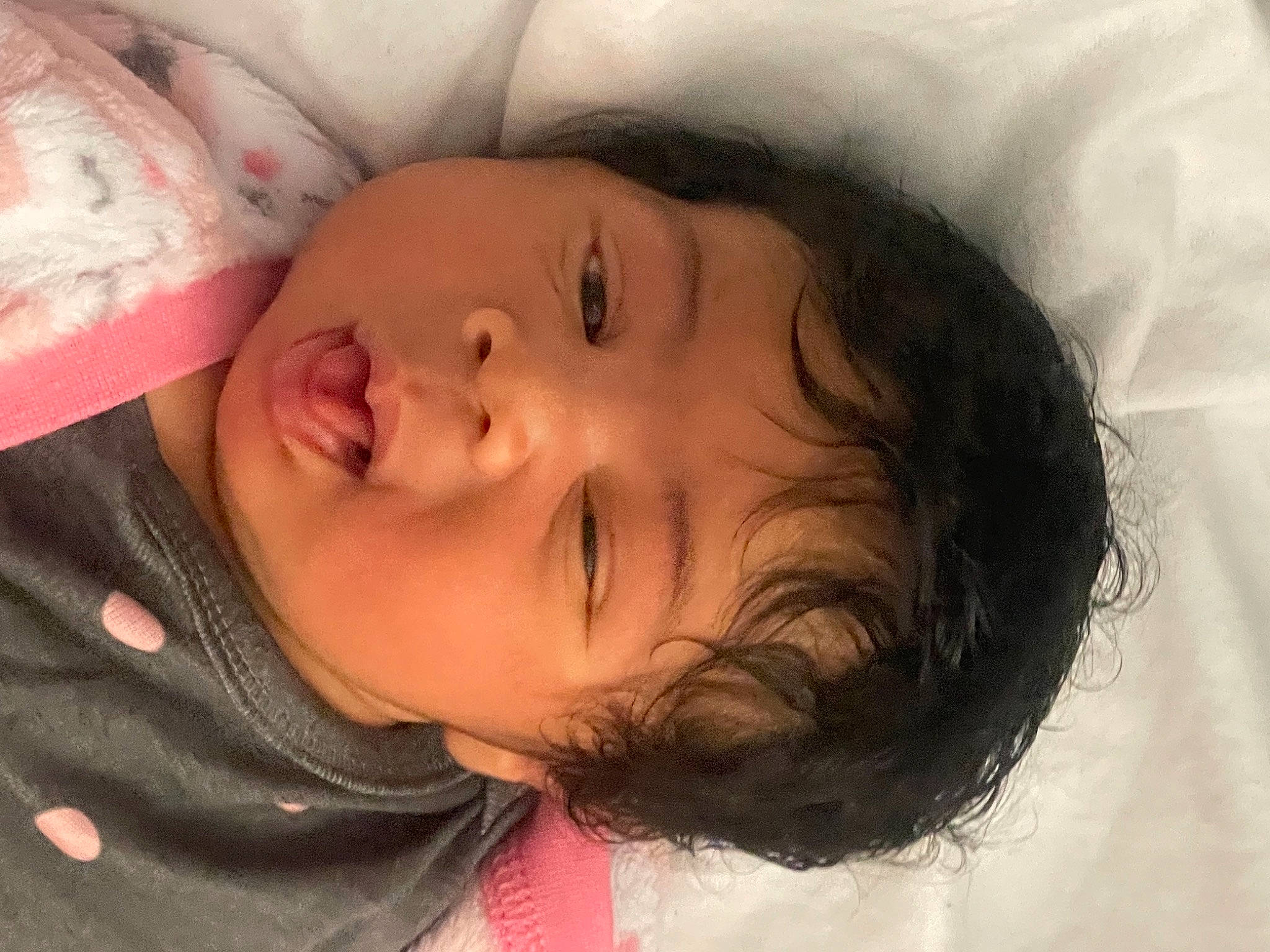 Amor joined the competition — help win amazing prizes! baby, cheek, chin, comfort, ear, eye, eyebrow, eyelash, facial_expression, forehead, head, human_body, iris, lip, mouth, neck, nose, person, skin, smile