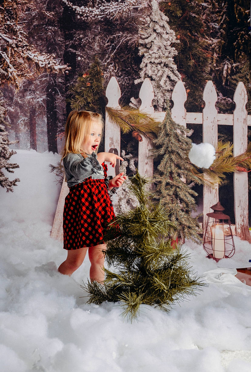 Noella joined the competition — help win amazing prizes! branch, christmas_decoration, christmas_ornament, event, evergreen, freezing, grass, hair, happy, house, nature, people, people_in_nature, person, plant, snow, surprise, tree, twig, winter