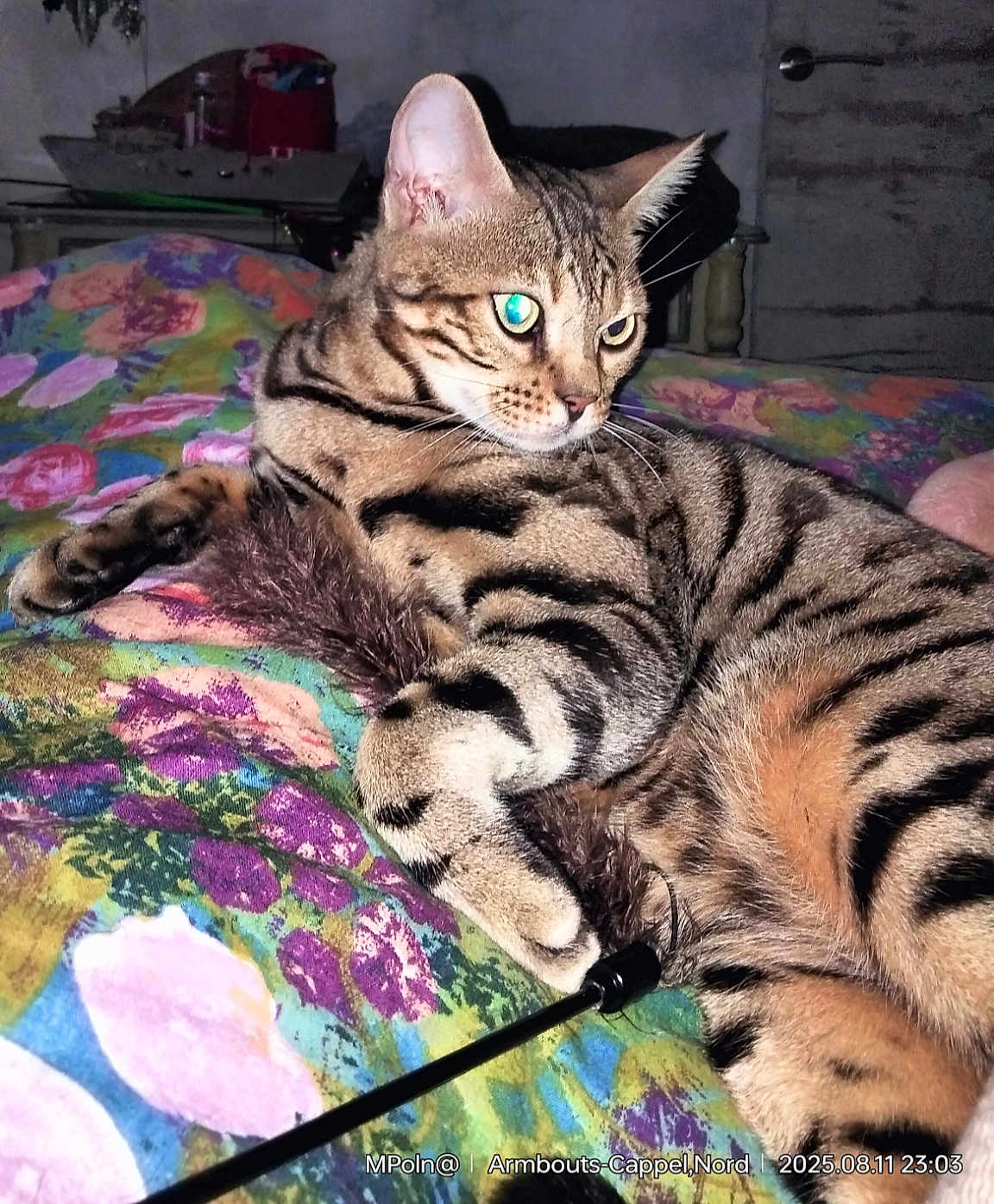 Kuzco
