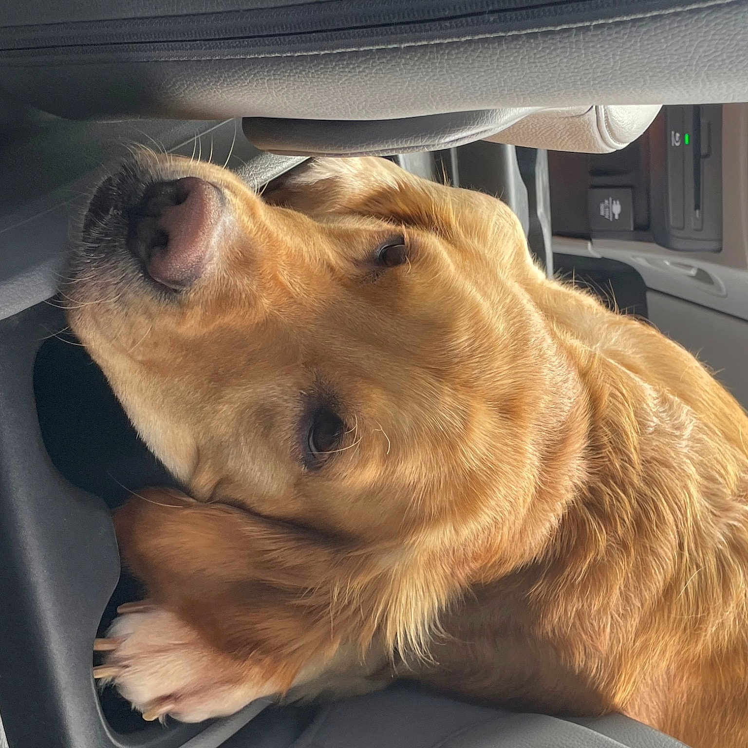 Fiona