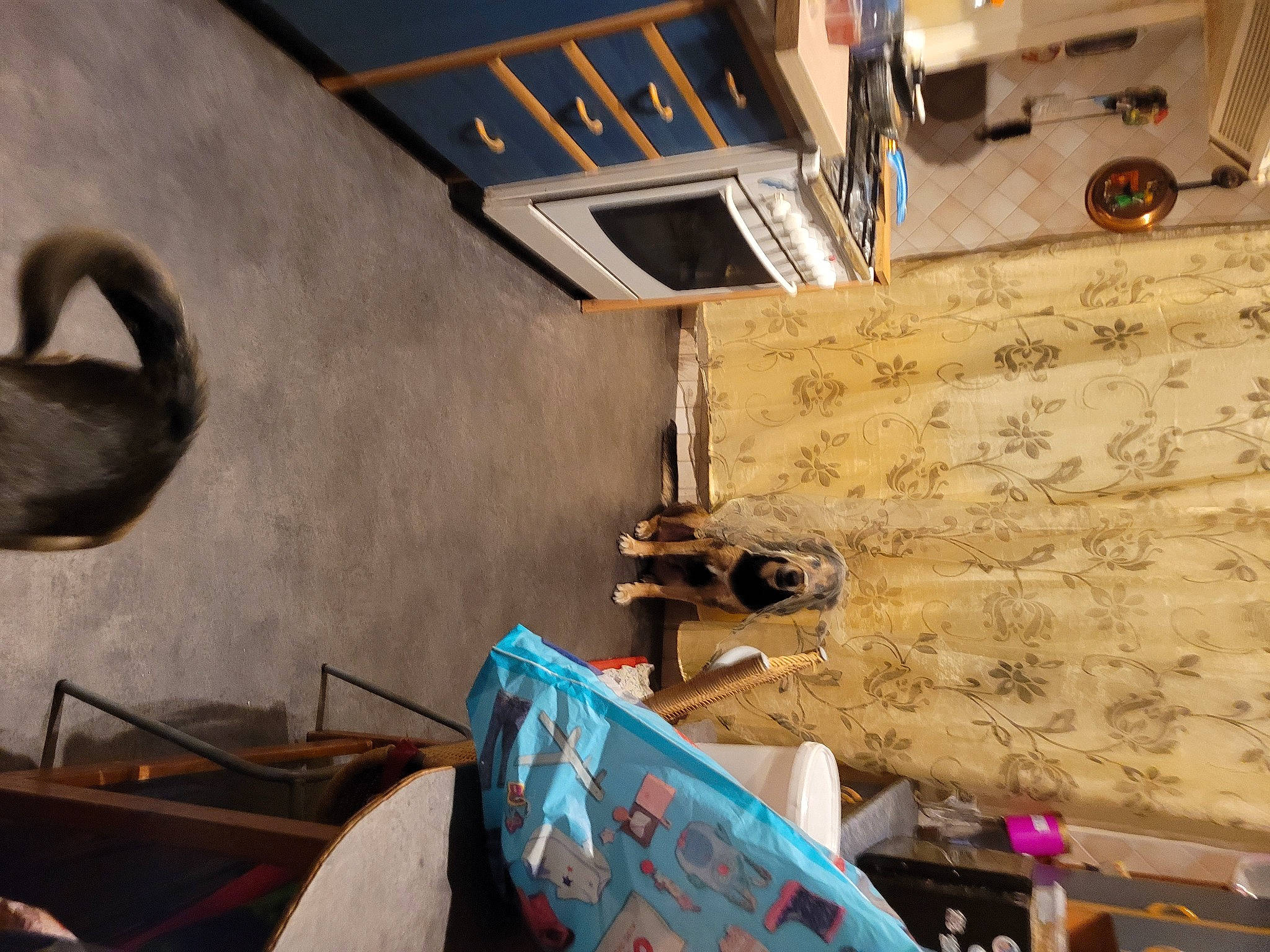 Gardene a rejoint le concours — aidez-le/la à gagner de superbes lots ! automotive_design, automotive_exterior, building, ceiling, concrete, engineering, flooring, font, gas, machine, metal, motor_vehicle, plywood, room, tire, transport, visual_arts, wood