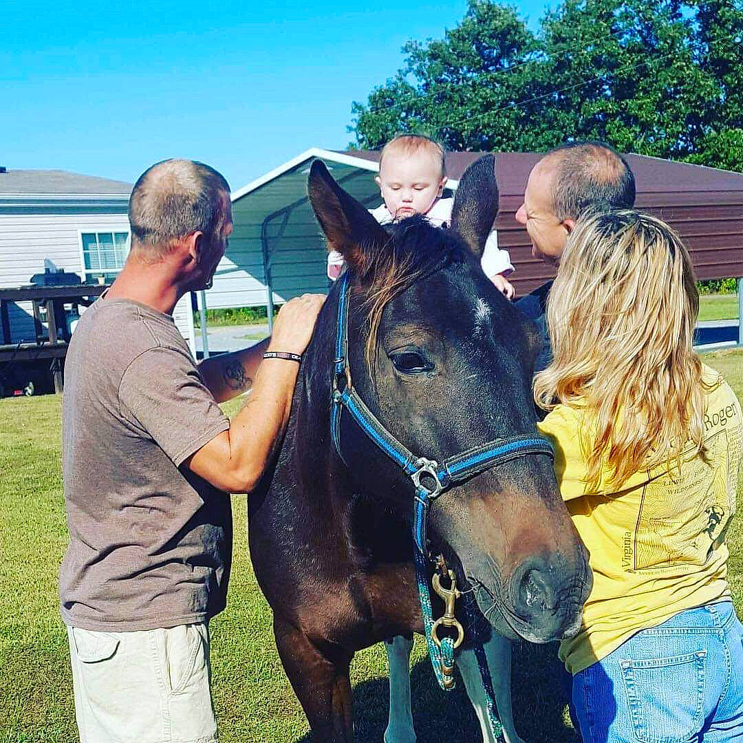 Amarah joined the competition — help win amazing prizes! bridle, cool, equestrianism, halter, horse, horse_supplies, horse_tack, horse_trainer, livestock, mammal, mane, mare, pack_animal, person, photography, recreation, rein, riding_instructor, sky, sorrow