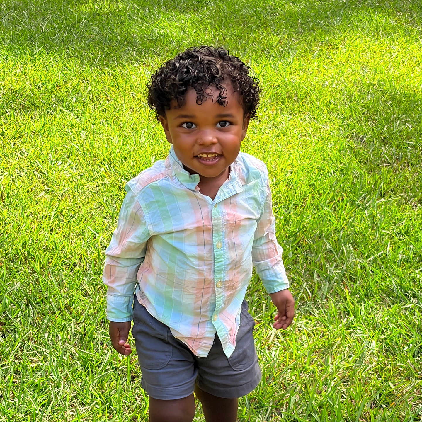 Carson joined the competition — help win amazing prizes! child, toddler, curly_hair, smiling, grass, outdoor, shirt, shorts, footwear, greenery, sunlight, happy, portrait, young_child, nature, casual_clothing, person, standing, daylight, cute
