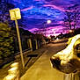 dog, car, window, sunset, sky, street, trees, suburban, evening, purple_sky, pink_sky, road, light_pole, animal, pet, outdoor, motion_blur, curious, head_out, travel