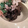 cat, kitten, tortoiseshell, feline, animal, pet, sink, bathroom, flowers, artificial_flowers, floral_arrangement, leaves, faucet, countertop, indoor, sitting, lying_down, fur, whiskers, portrait