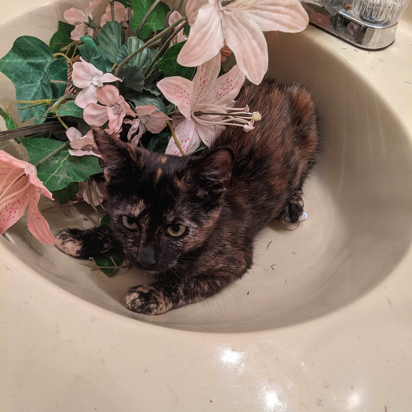 Tiny